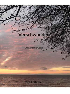 cover image of Verschwunden